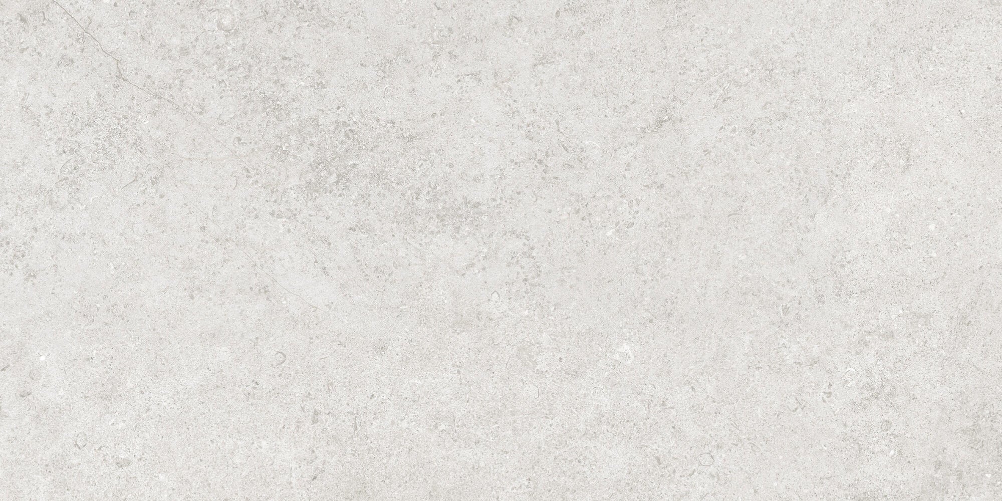 Cluny Silver All in One Finish 60 x 120 Porcelain