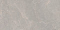 Rhodium Iron 60 x 120 Porcelain