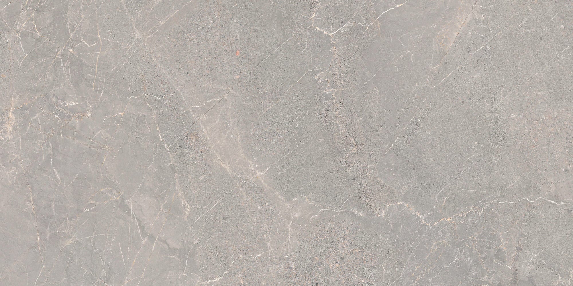 Rhodium Iron 60 x 120 Porcelain
