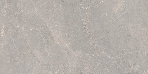 Rhodium Iron 60 x 120 Porcelain