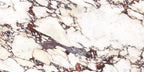 Calacatta Viola Polished