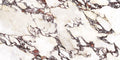 Calacatta Viola Polished