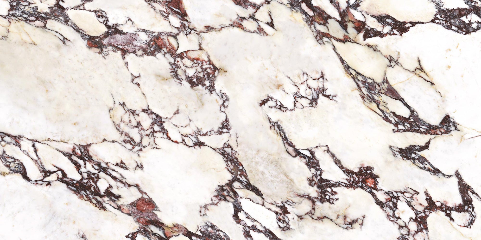 Calacatta Viola Polished