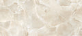 Onyce Coconut